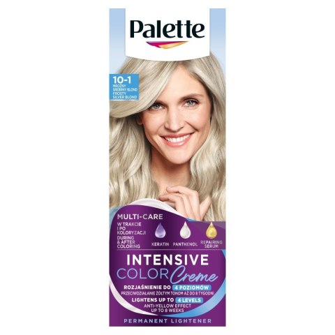 Palette Intensive Color Creme krem koloryzujący nr 10-1 (C10) - mroźny srebrny blond 1 op.
