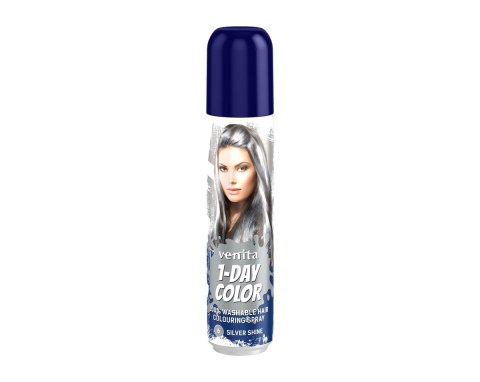 Venita 1- Day Color spray koloryzujący do włosów - nr 6 Silver Shine (srebrny) 50 ml