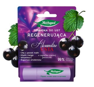 Herbapol Aksamitne Usta Pomadka Regenerująca do Ust Czarna Porzeczka 4.9 g