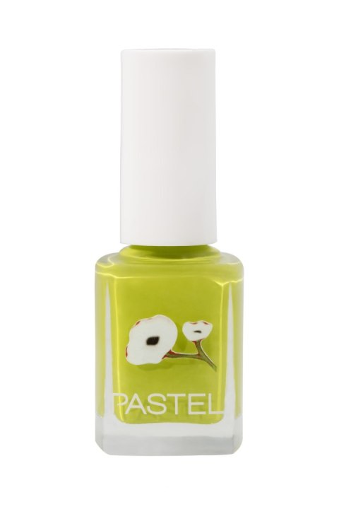 Pastel lakier do paznokci nr 417 13 ml