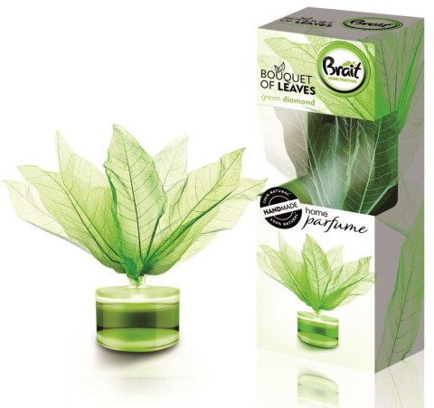 DRAMERS Brait Bouquet of Leaves Listki odświeżające powietrze Green Diamond 50ml