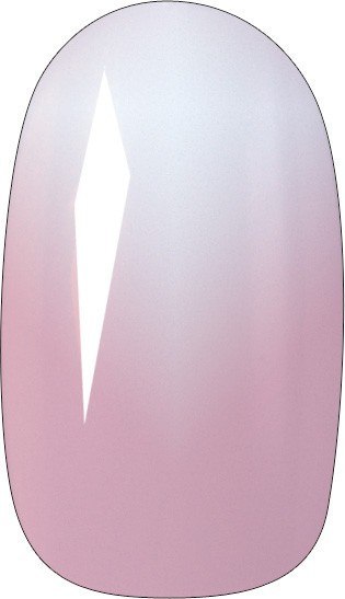 TOP CHOICE TOP CHOICE Sztuczne paznokcie ombre owalne