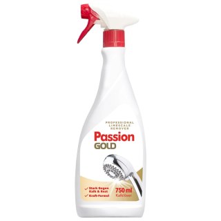 CHEMIA R. PASSION GOLD Płyn do usuwania kamienia i rdzy w sprayu Professional 750 ml