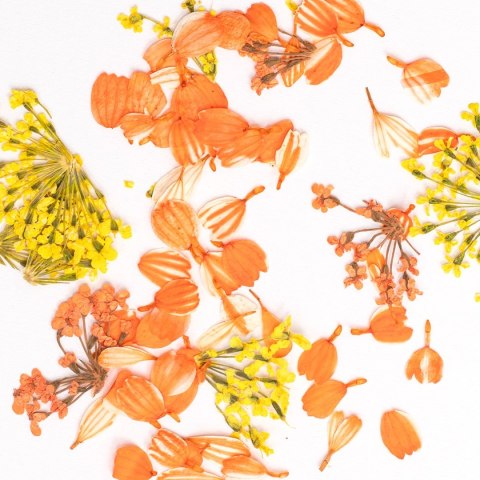 SEMILAC SEMILAC Flower Flakes Golden Sunset