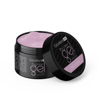 EXCELLENT PRO EXCELLENT PRO Builder Thixo 50g Real Candy &